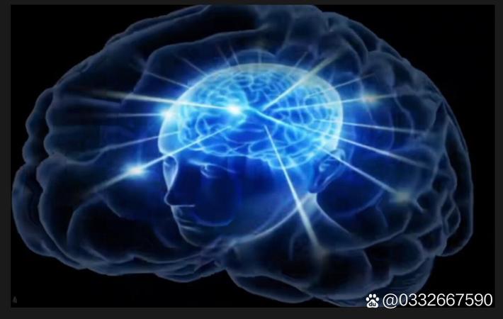 某顶流偶像被曝私下性格极差，工作人员集体发声